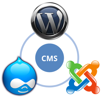 cms development